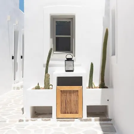 Daire Swell S5 New In *